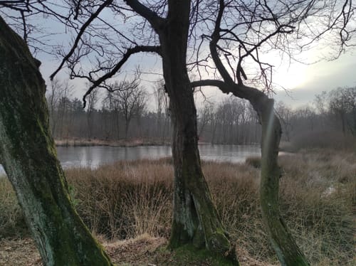 Kleine Runde in der Haardt