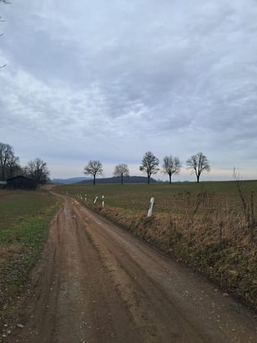 Hasper Talsperre - Schöpplenberg - Wahl