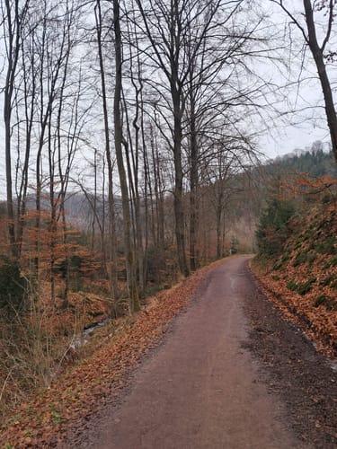 Hasper Talsperre - Schöpplenberg - Wahl