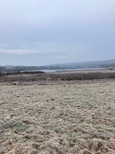 Ulmen: Berenbach - Vulkanweg