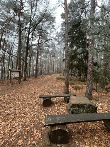 Dornröschen-Rundwanderweg