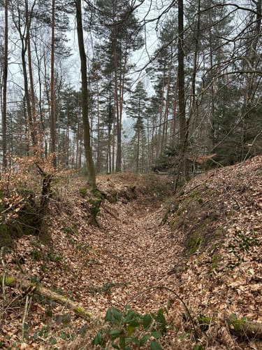 Dornröschen-Rundwanderweg
