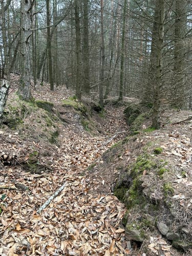 Dornröschen-Rundwanderweg
