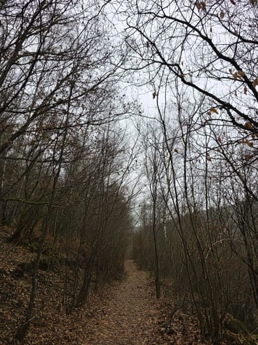 Almglück (Traumschleife)