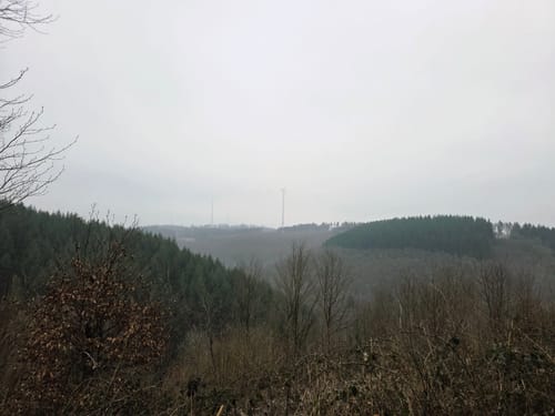 Almglück (Traumschleife)