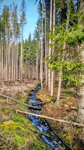 HeimatSpur Wasser- und Felsenweg