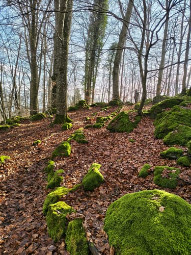 HeimatSpur Wasser- und Felsenweg