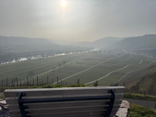 MTB Tour: Wintrich - Mülheim an der Mosel - Minheim