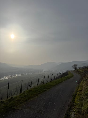 MTB Tour: Wintrich - Mülheim an der Mosel - Minheim
