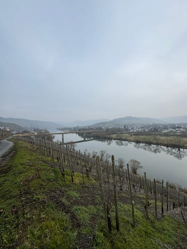MTB Tour: Wintrich - Mülheim an der Mosel - Minheim