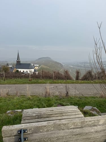 MTB Tour: Wintrich - Mülheim an der Mosel - Minheim