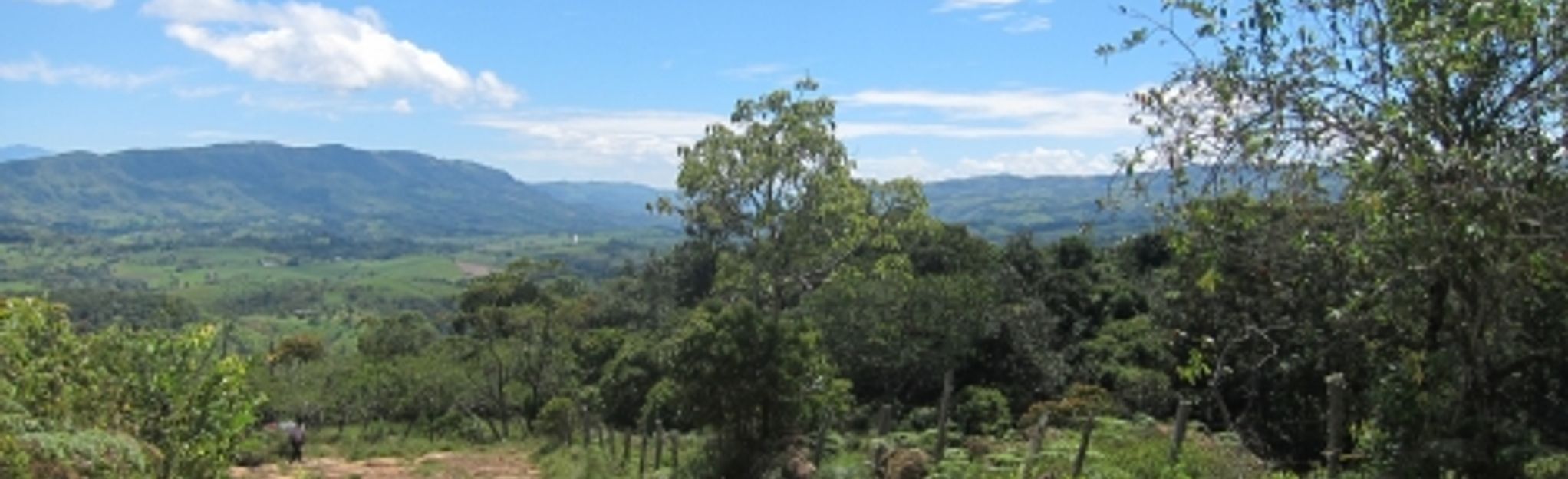 Finca - Olival - Saravia, Santander, Colombia - Map, Guide | AllTrails