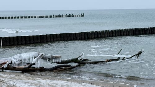 Fischland-Tour