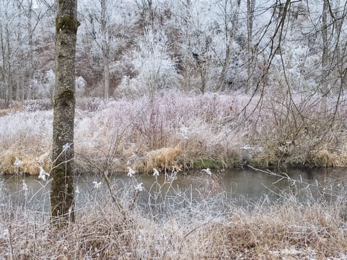 Ab Freising entlang der Isar