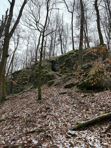 Bärenbachpfad (Traumschleife)