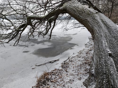 Von Heiligensee nach Tegelort