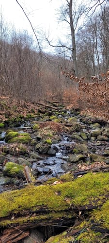 Weiselberg-Gipfeltour (Premiumwanderweg)
