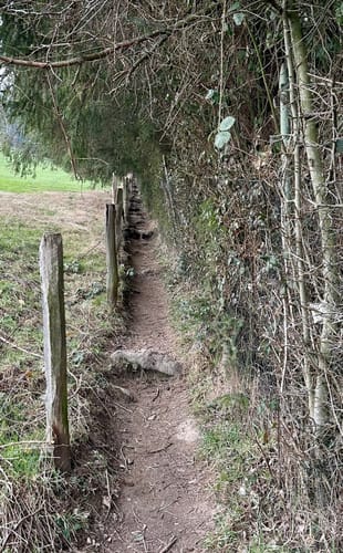 Entdeckerschleife Biohöfe im Windrather Tal