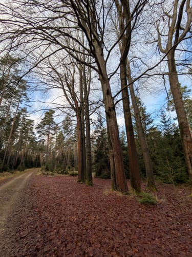 Naturpark-Weg Paulinzella