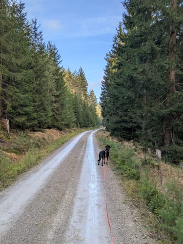 Naturpark-Weg Paulinzella