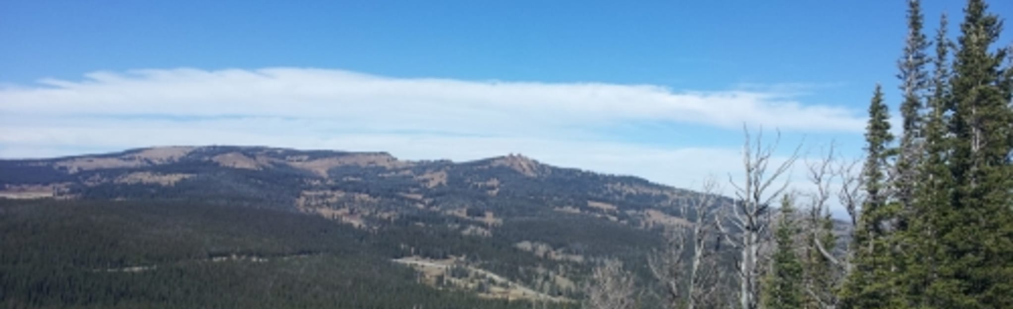 Baker Mountain 3 Reviews, Map Colorado AllTrails