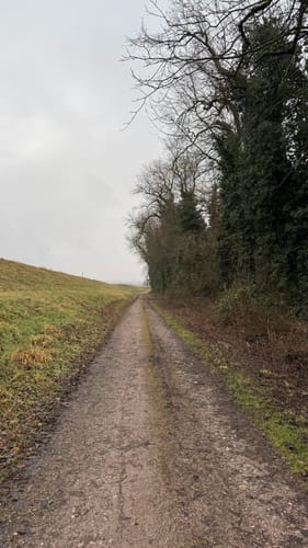 Schwaderloch - Rheinkanal