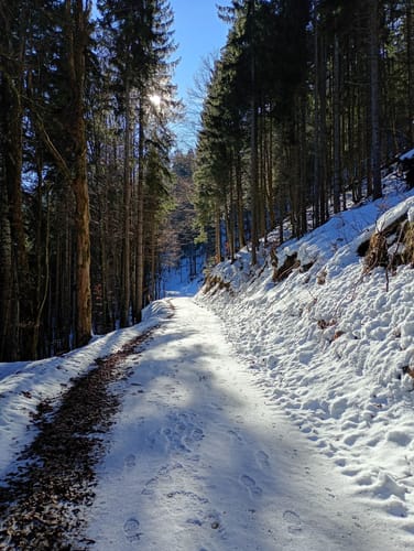 Reiteralm ab Reiter