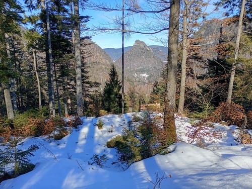 Reiteralm ab Reiter
