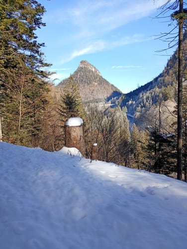 Reiteralm ab Reiter