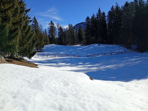 Reiteralm ab Reiter