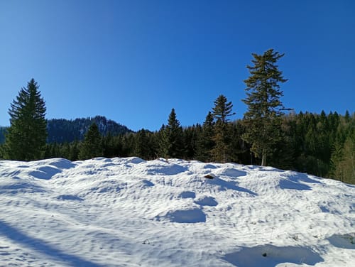 Reiteralm ab Reiter