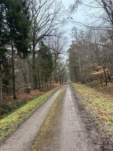 Fuchsbau: Wanderweg A2