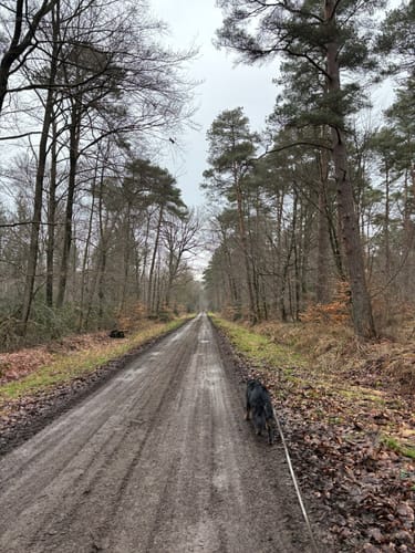 Fuchsbau: Wanderweg A2