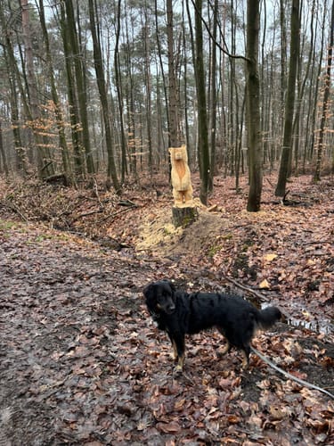 Fuchsbau: Wanderweg A2