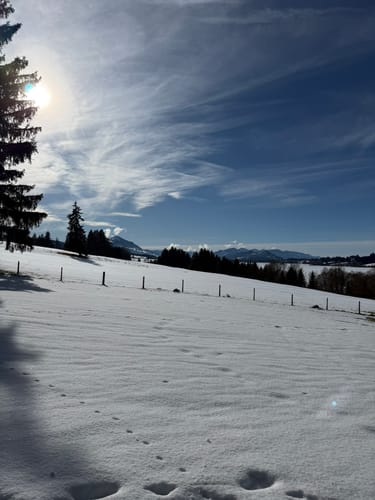 Petersthal - Winkelholz - Reutermoos