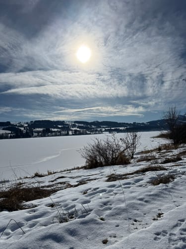 Petersthal - Winkelholz - Reutermoos