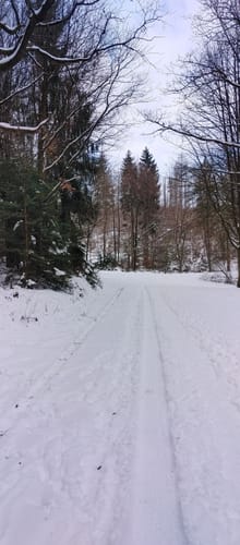 A3 - Lemgoer Mark - Auf zum Windelstein
