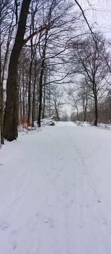 A3 - Lemgoer Mark - Auf zum Windelstein