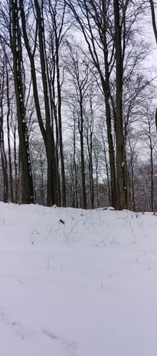 A3 - Lemgoer Mark - Auf zum Windelstein