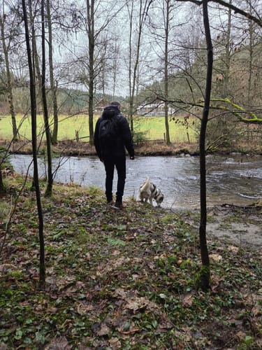 Perlenbachtal ab Höfener Mühle