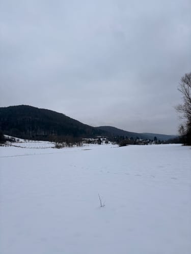 Panoramaweg Happburger Stausee