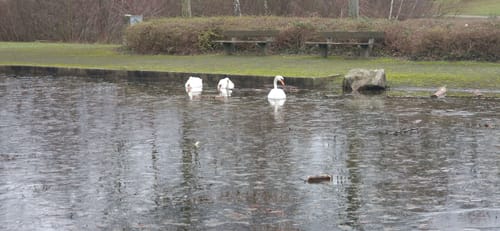 Durchs Wurmtal zum Schloss Zweibrüggen