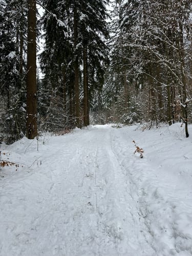 Geschwand Rundwanderweg Franzosenstein