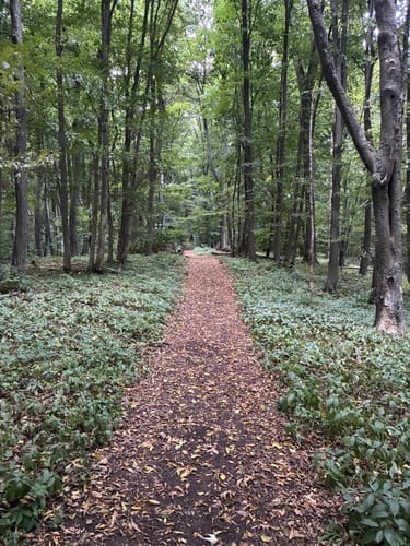 Rundweg 6: Silberklippe