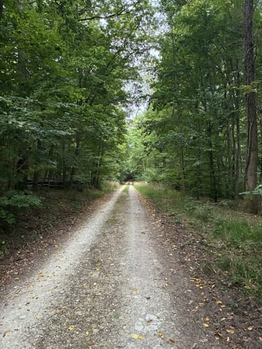 Rundweg 6: Silberklippe