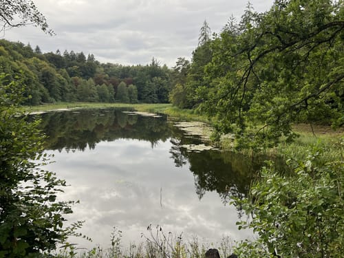 Mahdental - Bernhardsbach - Bärensee - Bärenschlössle