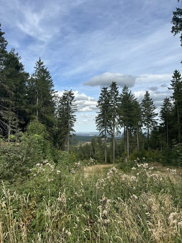 Naturpark-Weg - Kühles Tal - Friedrichroda