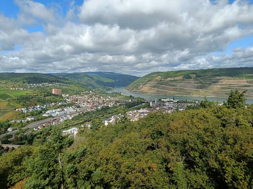 Auf dem Rochusberg