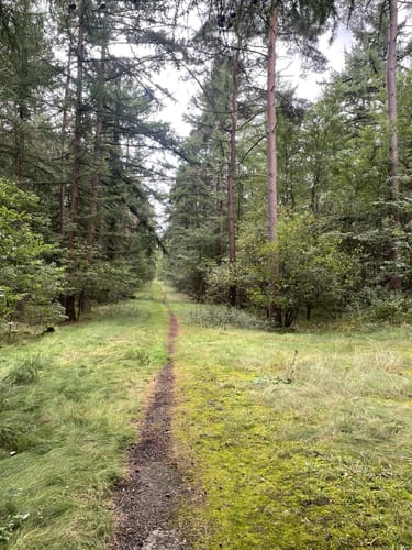 Emshöhenweg ab Wachendorfer See