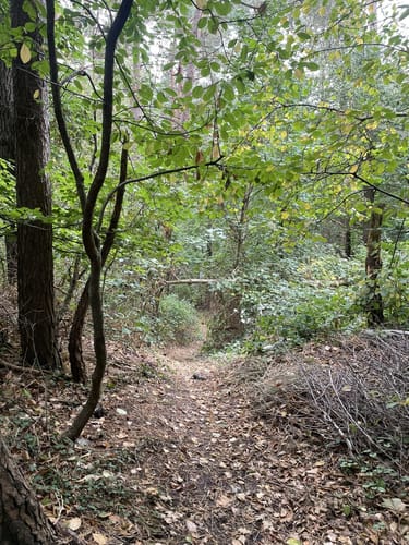 Emshöhenweg ab Wachendorfer See
